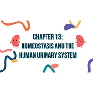 Biology KSSM Form 4 Chapter 13