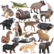 Animal Capybara Goat Hyena Mole Simulation Model Children Educational Toys Display Prop Ornament