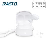 RASTO RS51 小耳洞專用TWS真無線藍牙5.3耳機