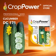 Benih Timun Cucumber seeds 黄瓜种子 CROP POWER DC171 DC272 DC282 DC777 DC1119 DC989 DC676 DC878 OC575