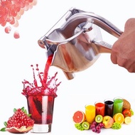Fruit Juicer