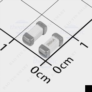 [10 Pieces]- SMD 1808 250mA 250V Quick Cut Fuse Linhkiensmart