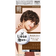 Liese Bubble Color Dark Chocolat 1