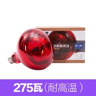 Genuine Philips Import Infrared Therapy Lamp Postpartum Household Baking Medicine Beauty Salon Double-Headed Accessories Bulb