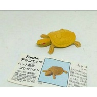 KAIYODO Choco egg iyodo furuta albino brazilian turtle