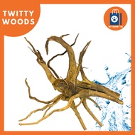Tweety Wood | Drift Wood Aquascaping Small Medium Large XLarge per piece