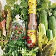 Budu Cap Terung & Ketereh