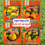 Marigold Seeds Pack of 50 Seeds - Dwarf Marigold - Phoenix Seeds