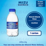 Cactus Natural Mineral Water Water 24x250ml