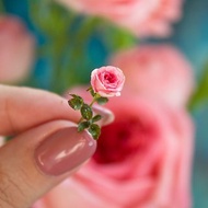 數位 TUTORIAL Miniature Austin rose with cold porcelain or air dry clay | PDF + video