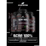 OX NUTRITION - BCAA 100% 2800mg 120CAPS RECOVERY & GROWTH