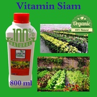 Vitamin Siam Baja Organik Buah Bunga (800ml)