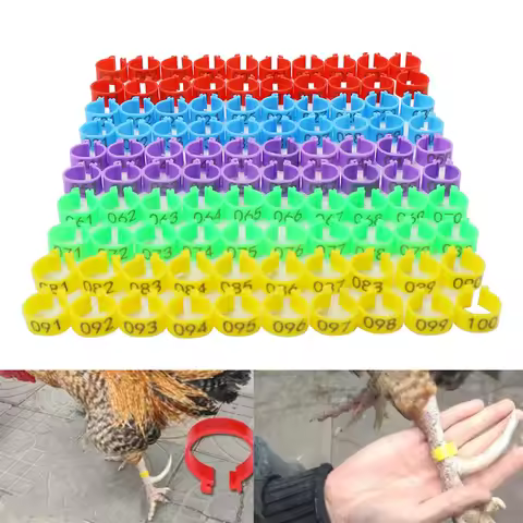 100 pcs Inside diameter 1.6cm snap-on Chicken Foot Ring 001-100 Duck Goose Bird Quail Poultry Hen Ri