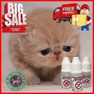 Medicine For Cat Fleas, Worms And Cat dog Rings