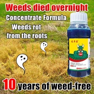 No weeds for 10 years！！BL Weed killer racun rumput Racun paraquat original Racun rumpai cepat mati Q