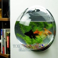 Aquarium mini ikan cupang tempel dinding unik murah
