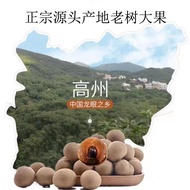 新品现货广东高州正宗新货桂圆干肉厚核小龙眼干桂圆泡水特产干货桂圆Guangdong Gaozhou authentic new dried longan meat thick nuclear smal