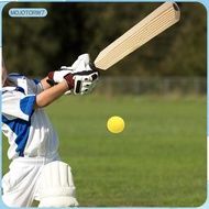 [mojotorw7] Cricket Bat Set Baseball Bat Toy Parent Child Interaction Game Cricket Set