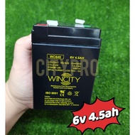 HOT🔥wincity / PNS 6v 4.5ah / 6v 4ah rechargeable battery toy