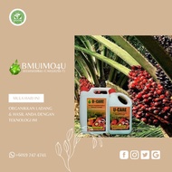 U-CARE KELAPA SAWIT 4L