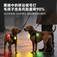 Pet Outdoor Night Walking Light Night Walking Dog Luminous Light Waterproof Night Luminous Pendant P