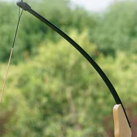 1pair Epoxy Resin Bow Limbs 60cm length High Hardness High Strength for Outdoor Archery Hunting Bow