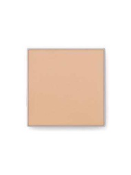 Mary Kay Endless Performance Crème-to-Powder Foundation
