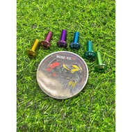 Original GR5 Titanium Bolt Salaya Head 6mm
