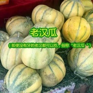 Hot-selling Fast Shipping Old Cantaloupe Seeds Xinjiang Super Sweet Western Region Melon Seeds Sprin