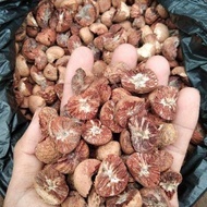 Ready Buah Pinang Kering