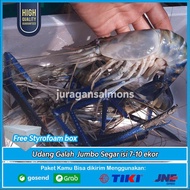 Udang Galah Segar Gede Jumbo Besar Murah 1 kg isi 7-10 ekor
