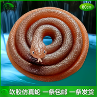Đồ Chơi Mô Phỏng Rắn Silicon Cho Trẻ Em Đồ Chơi Giả Mạo Cho Trẻ Em Đồ Chơi Mô Hình Động Vật Trong Su
