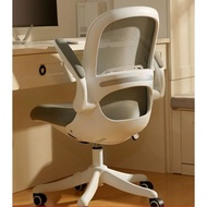 Chair House - Ergonomic Computer Chair with Mesh Back | Study Chair | Office Chair with Air Circulat