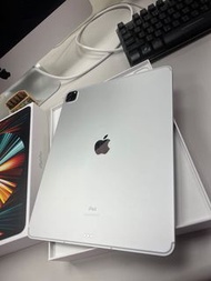 iPad Pro 12.9 五代 256g