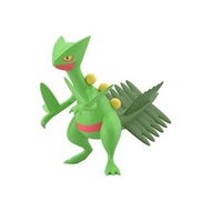 [訂貨] Pokemon scale world 寵物小精靈角色造型公仔系列 紅寶石／藍寶石 豐緣地區 蜥蜴王 POKEMON SCALE WORLD HOENN SCEPTILE W/O GUM