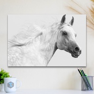 Horse Animal Poster Wall Decoration Wall Decor Horse Animal Display Frame