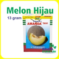 PRODUK TERBARU!! Benih Melon Hijau Amanda Tavi 13 gram / 600 biji Cap