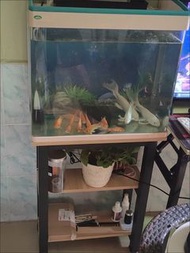 收納架，魚缸架，多層架，鋼架，承重架，