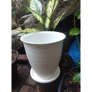 Flower Pot P - BEE185T plus coaster