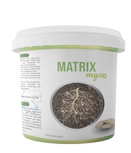Combo 10 viên nấm rễ Matrix Myco 650 bào tử + tặng thêm 1 viên Matrix Myco