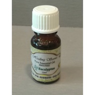 Eucalyptus Pure Essential Oil
