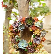 Lovoski Iron Wire   Pot Rack Wedding Garden Decor NEW Great for decorations during  and any other ho