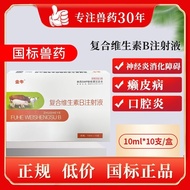 Veterinal Compound Vitamin B Injection Liquid Pig Beef Sheep Cat Dog Oral Reverse Appetizer Digestiv