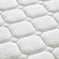 Household Spring Mattress B & B Thickened Thickness Latex Independent Apartment 20cm Simmons Hotel F