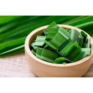 DAUN PANDAN WANGI/POKOK PANDAN