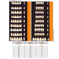 Dental Caiyu Cayu Depan Atas Anterior Atas 1 Box Gigi Palsu Anasir