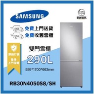 Samsung - Samsung - 雙門雪櫃 290L (亮麗銀色) RB30N4050S8/SH