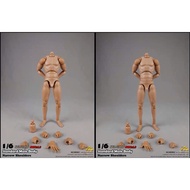 Coomodel Body Model BD001, BD002 1/6 - 1/6 scale model