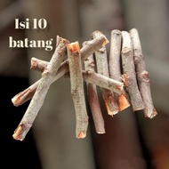 Dry wooden twigs, 10 pcs - Handicrafts - Dry wooden twigs - Decoration