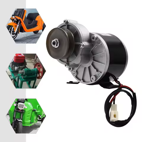 250W Brushed DC Gear Reduction Motor MY1016Z 12V/24V/36V 2750RPM 1N.m for Electric Bicycle E-Bike Sc